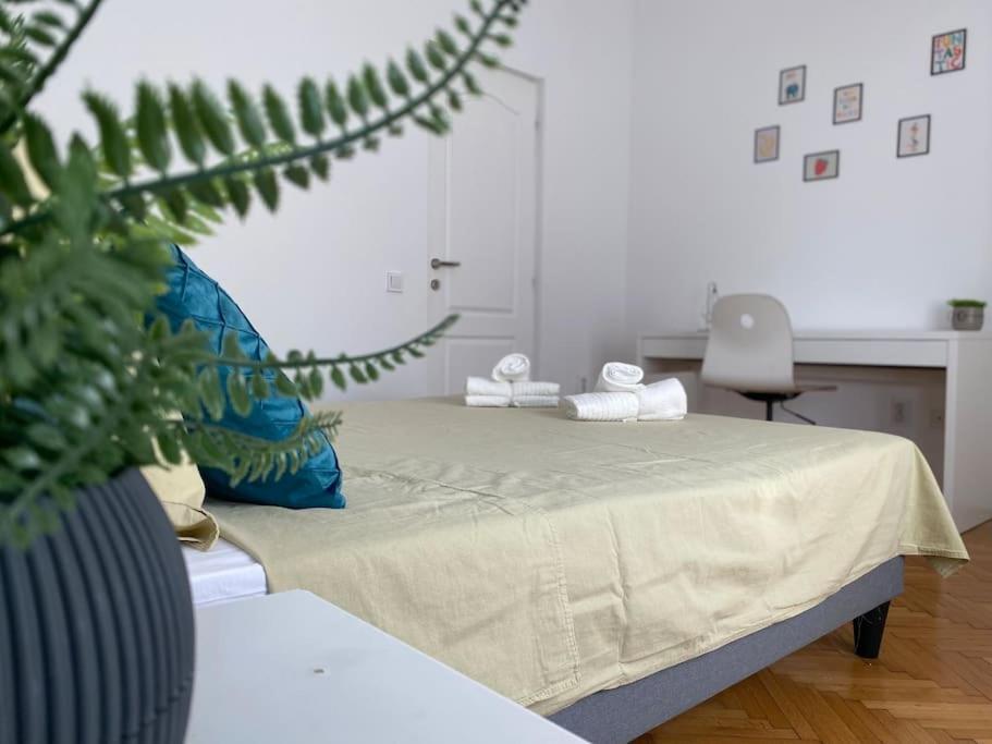 2 Bedroom Apartment With Terrace In City Center 布加勒斯特 外观 照片